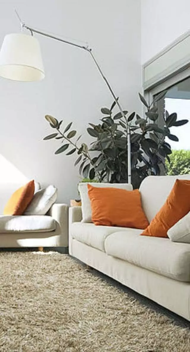 Asia Carpet & Decorating