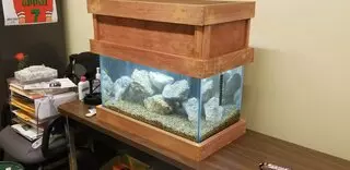 The Aquarist Company