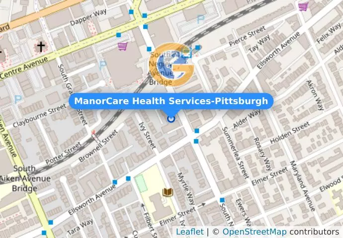 ManorCare Health Services-Pittsburgh
