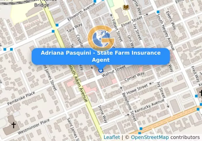Adriana Pasquini - State Farm Insurance Agent