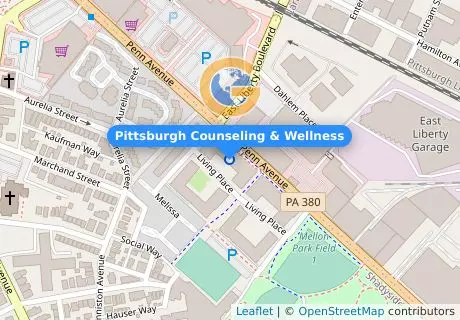 Pittsburgh Counseling & Wellness