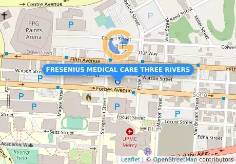 FRESENIUS MEDICAL CARE THREE RIVERS