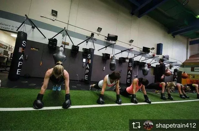 SHAPE Training