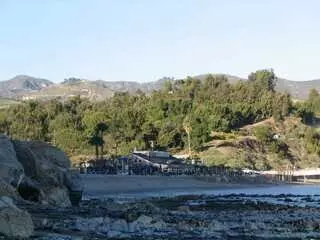 Warner Mariani