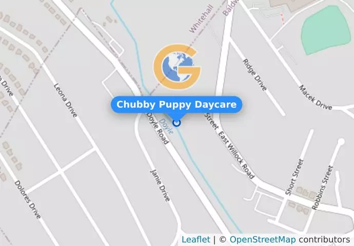 Chubby Puppy Daycare
