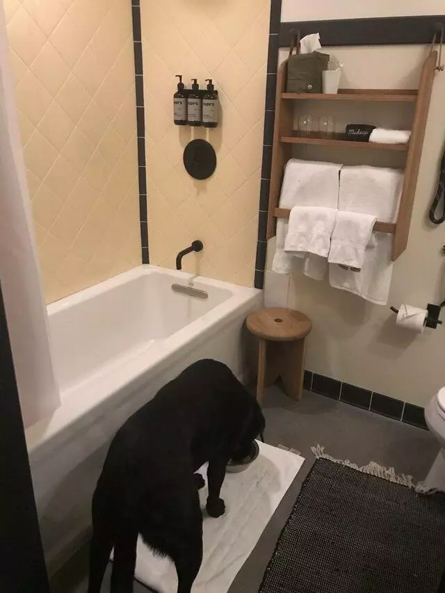 ACE Hotel Pittsburgh