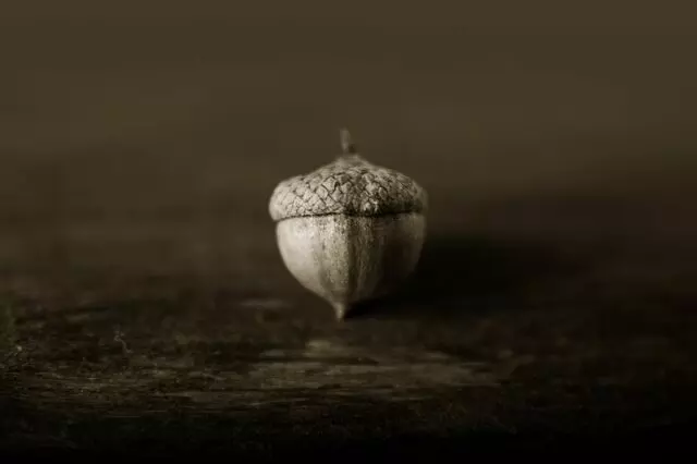 Acorn Pittsburgh