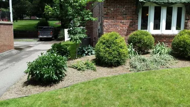 Always Greener