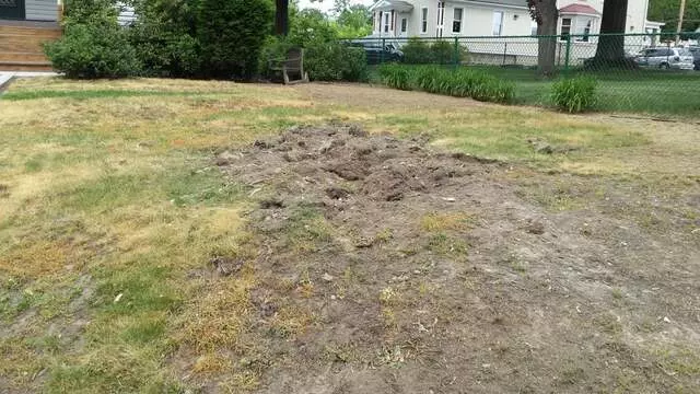 Always Greener