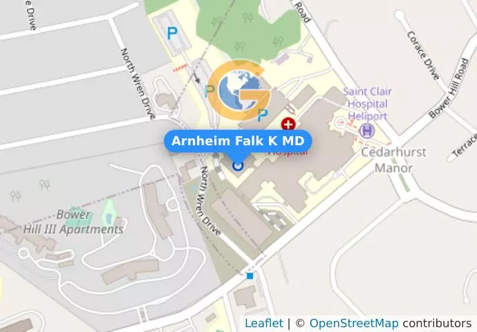 Arnheim Falk K MD