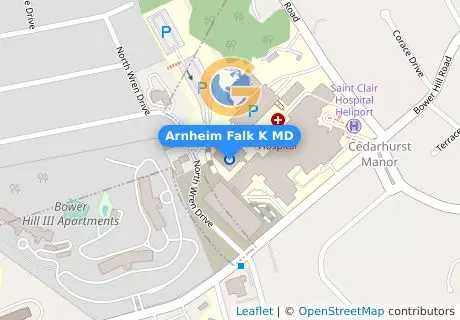 Arnheim Falk K MD