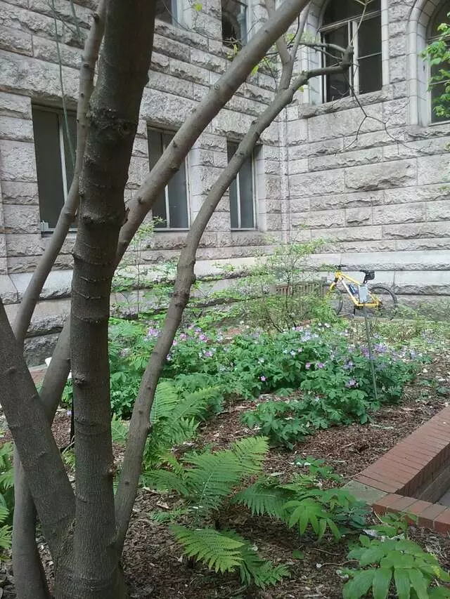 Allegheny County Jail