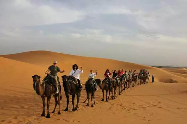 Amazing Journeys