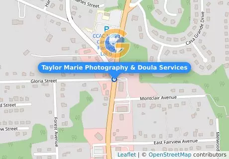 Taylor Marie Photography & Doula Services