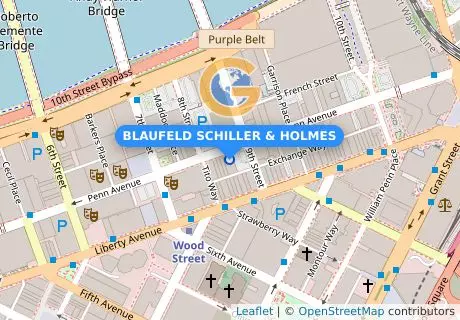BLAUFELD SCHILLER & HOLMES