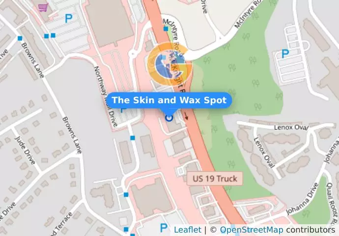 The Skin and Wax Spot