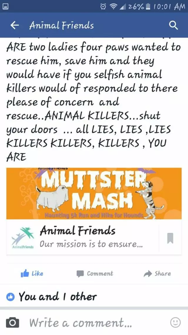 Animal Friends