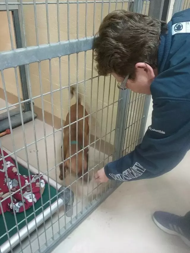 Animal Friends