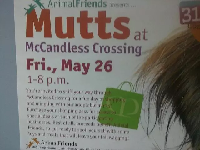 Animal Friends
