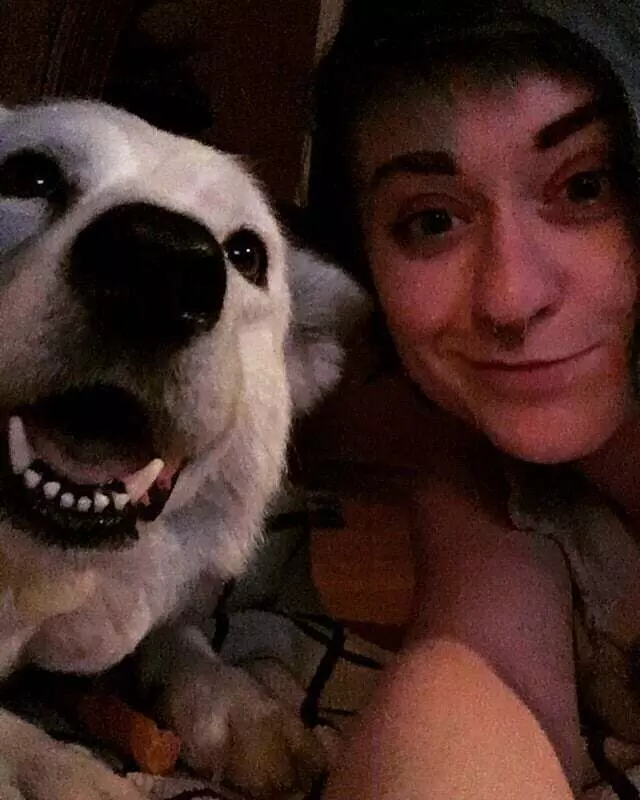 Animal Friends