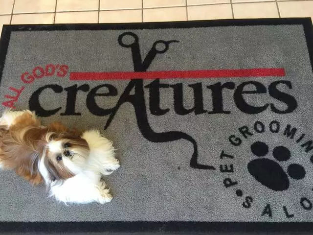 All God’s Creatures