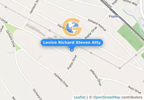 Levine Richard Steven Atty
