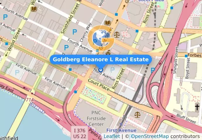 Goldberg Eleanore L Real Estate