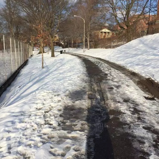 Arsenal Park