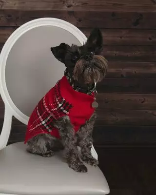 JCPenney Portraits - LIfetouch
