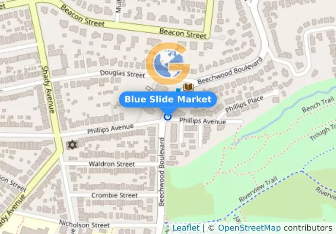 Blue Slide Market