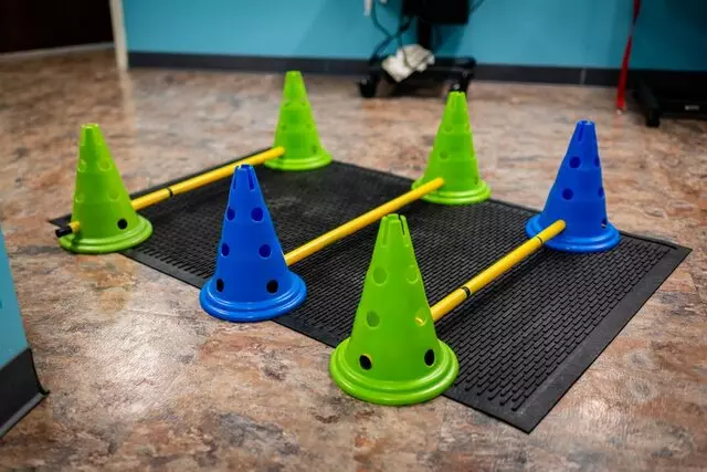 All Better Pet Rehabilitation