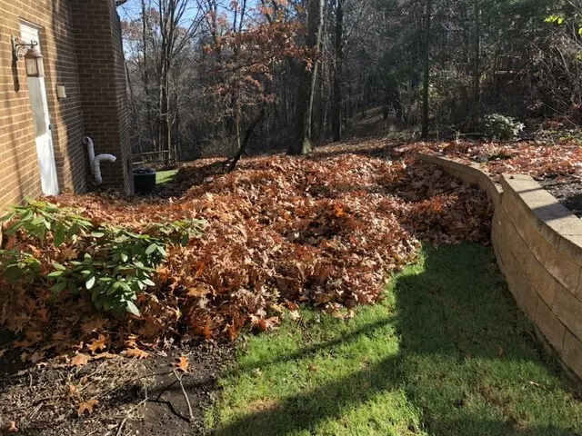 Alexander Lawn Services