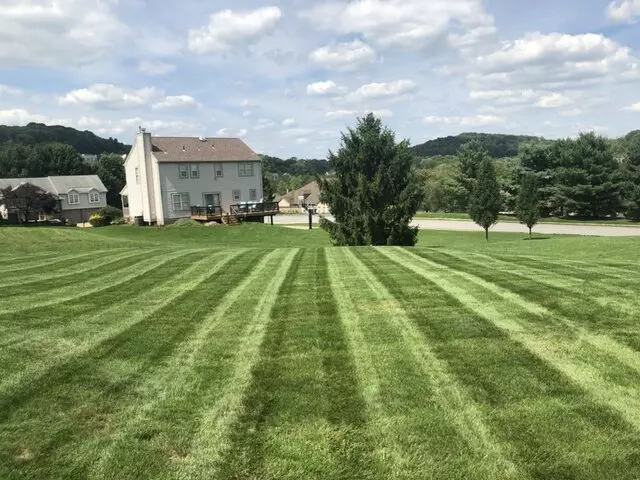 Alexander Lawn Services
