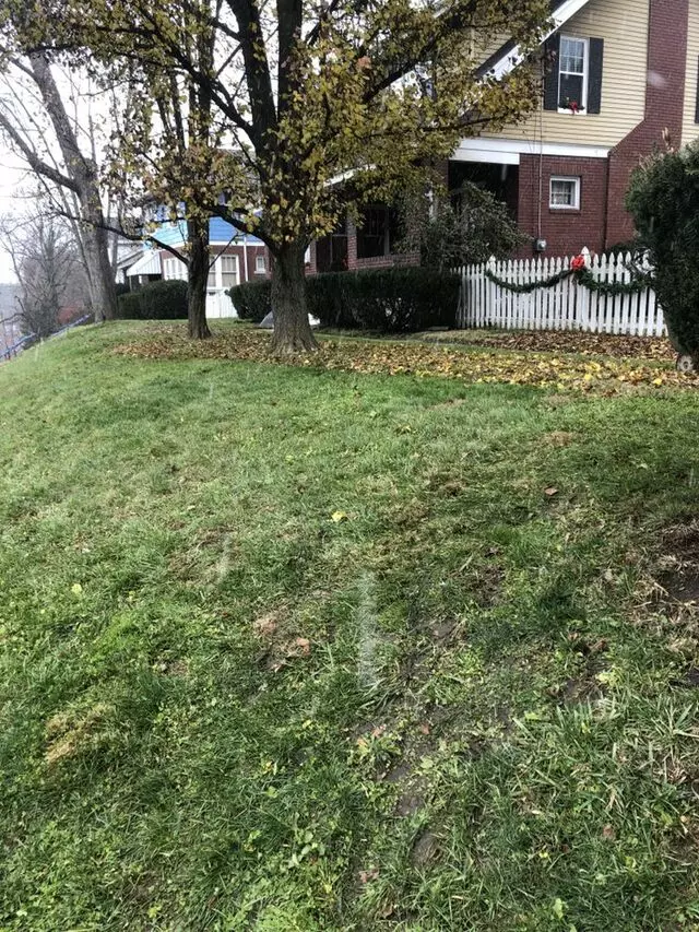 Alexander Lawn Services