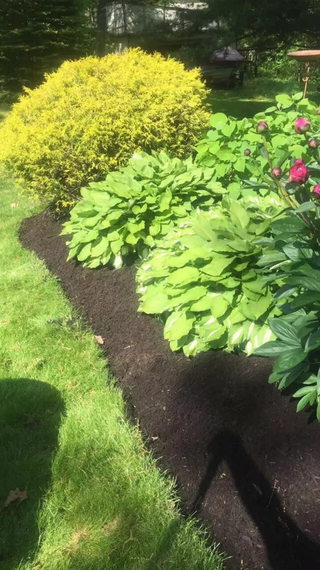 Alexander Lawn Services