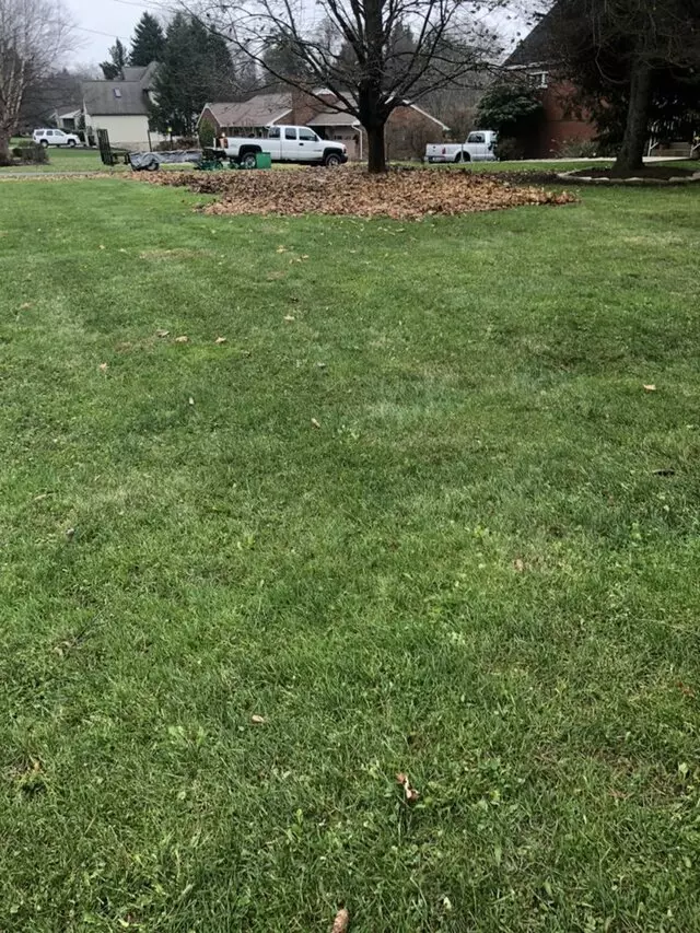Alexander Lawn Services