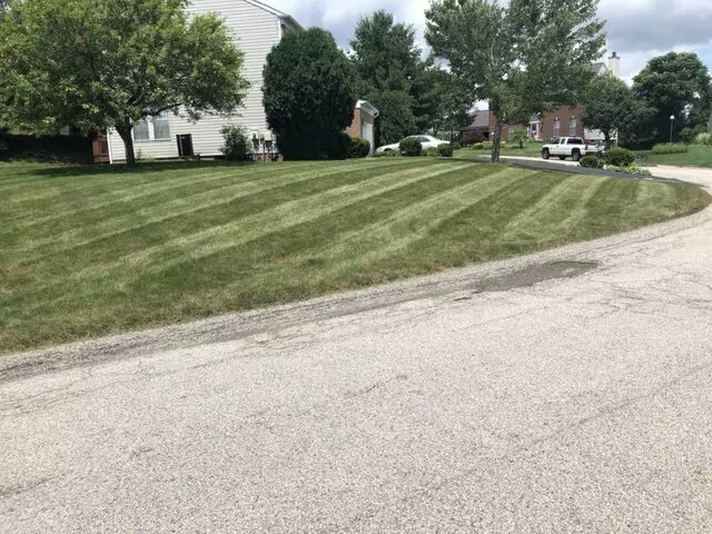 Alexander Lawn Services