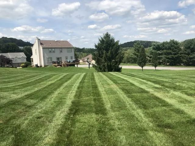 Alexander Lawn Services