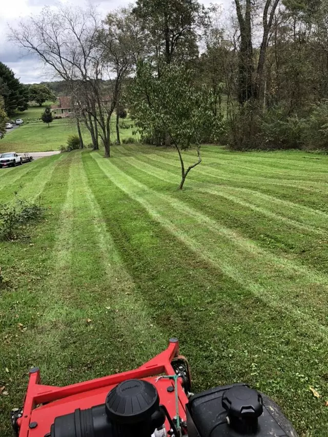 Alexander Lawn Services