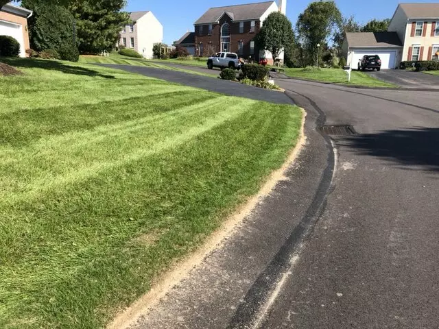Alexander Lawn Services