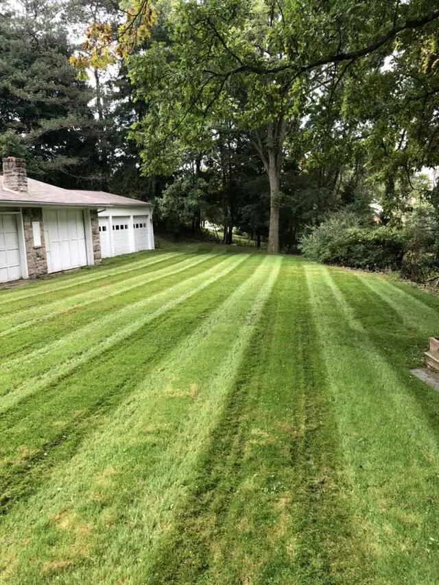 Alexander Lawn Services