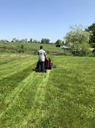 Alexander Lawn Services