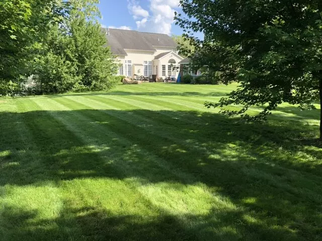 Alexander Lawn Services
