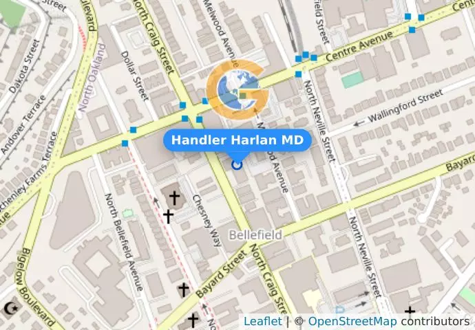 Handler Harlan MD
