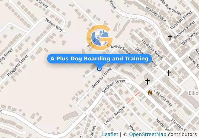 A Plus Dog Boarding and Training