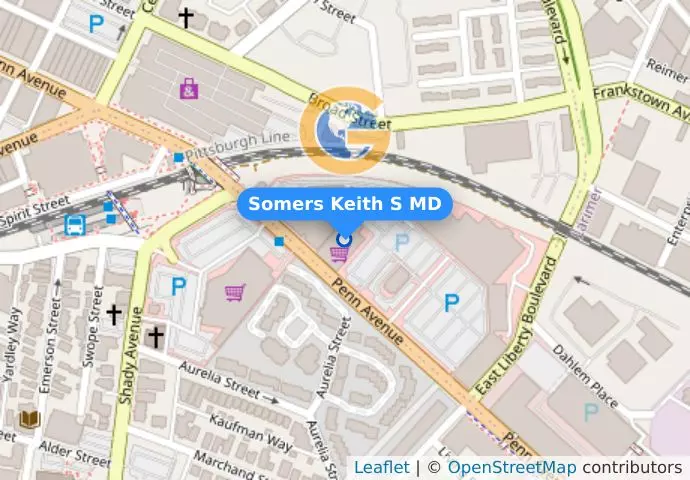 Somers Keith S MD