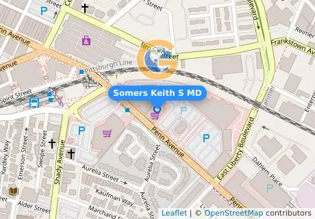 Somers Keith S MD
