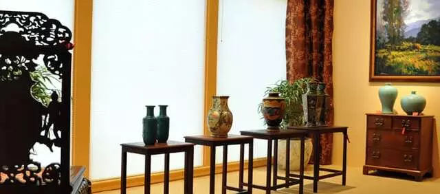 Asian Influences