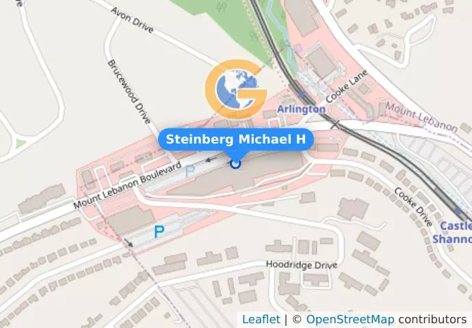 Steinberg Michael H