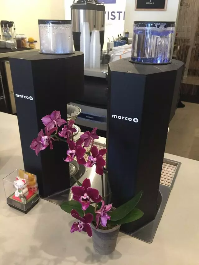 Arriviste Coffee Bar